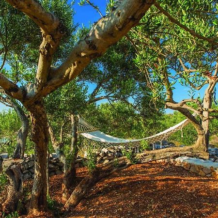 Luxury Villa Vela Rina Mali Drvenik Bagian luar foto
