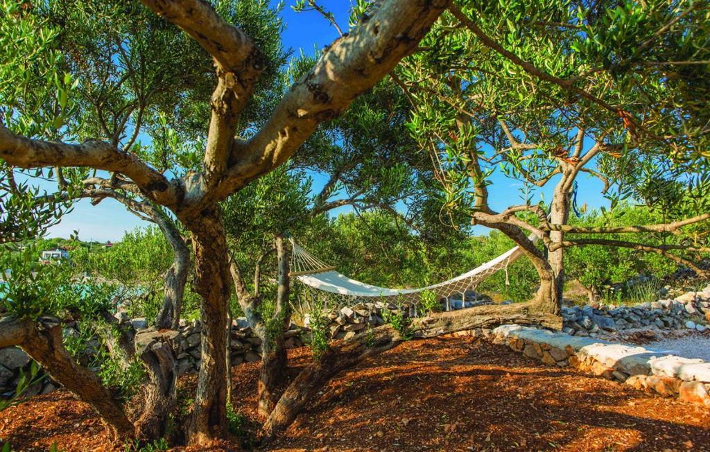 Luxury Villa Vela Rina Mali Drvenik Bagian luar foto